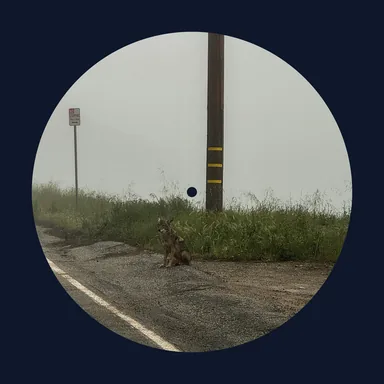 14 minutes album cover